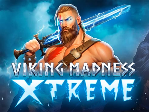 Viking Madness Xtreme game cover